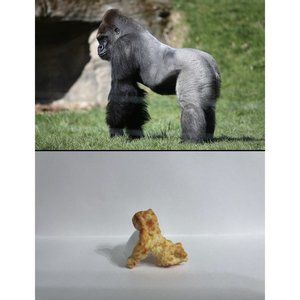 Harambe Shaped Cheeto One of a Kind Rare Collectible American History HTF NOS VG